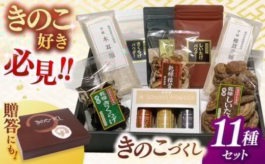 【年内発送】きのこづくし ( 椎茸麺 木耳麺 乾燥きのこ3種 椎茸スパイス きのこパウダー )▼しいたけ 椎茸 乾燥 干し シイタケ きくらげ 木耳 出汁 セット ギフト 贈答 野菜 きくらげ キクラゲ そうめん 詰め合わせ 桂川町/オドラ株式会社 [ADBA011]