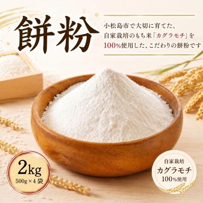 ふるさと納税 小松島市 もち粉 溝木さんの餅粉 2kg(500g×4袋) グルテンフリー お正月 餅 小松島市