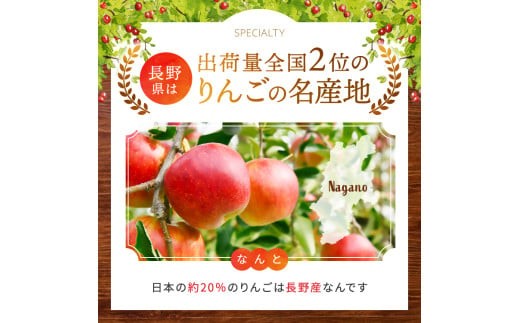 【訳あり】農家さん旬のおまかせ 約5kg【10月上旬～12月中旬頃にかけて順次発送予定】| 果物 くだもの フルーツ 林檎 りんご リンゴ 旬 おまかせ 果実 アップル 訳あり  秋映 シナノスイート