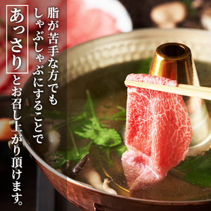 葉山牛黒毛和牛冨士屋牛肉店しゃぶしゃぶ葉山牛【500g】