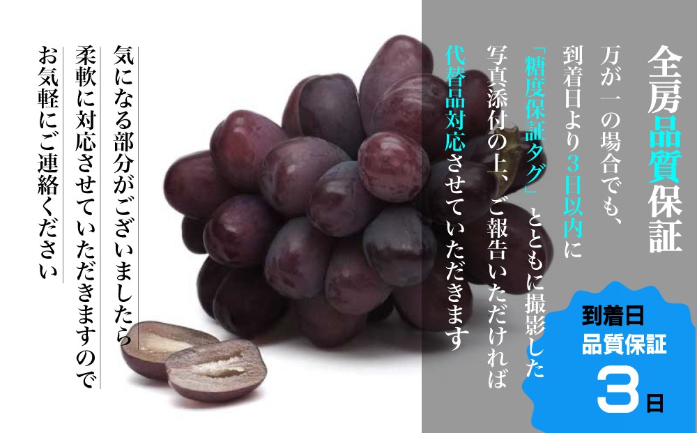 果粒が大きく肉質がしまり、『糖度』、『香り』が強く、永く多くの方に好まれる高級ぶどう品種です。