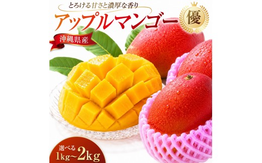
                  ＜選べる容量＞アップルマンゴー（1~2kg）優 I マンゴー アーウィン 嘉数マンゴー 1kg 2kg 化粧箱 贈答 フルーツ 果物 沖縄県 南城市 ふるさと納税
                