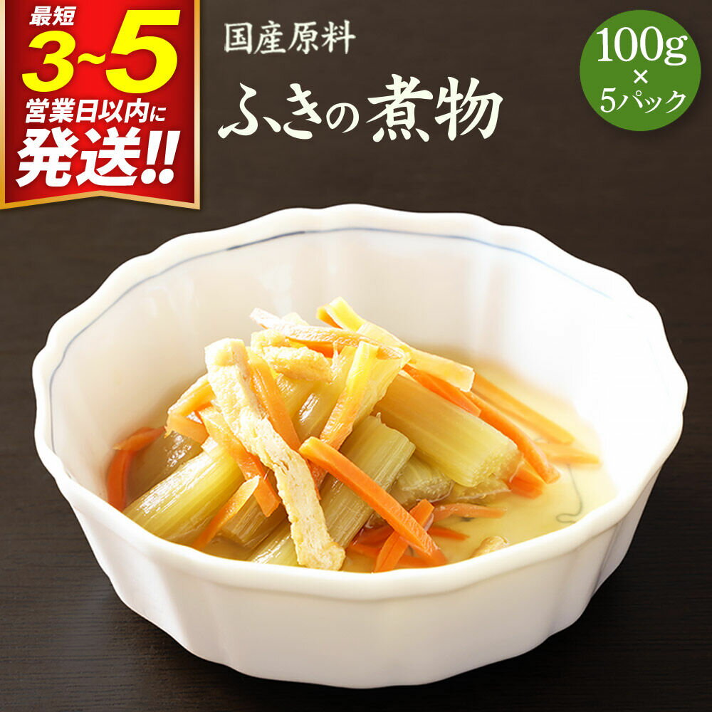 【ふるさと納税】国産原料 ふきの煮物 100g×5パック