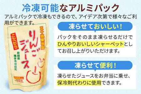 《定期便4ヶ月》 無添加りんごジュース（サンふじ）40パック
