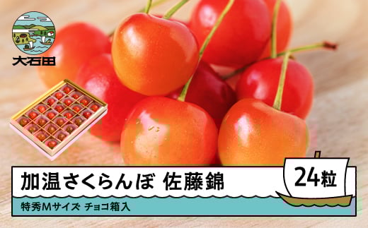 加温 さくらんぼ 佐藤錦 特秀Mサイズ プレゼント ギフト チョコ箱入 24粒 2026年産 令和8年産 山形県産 ふるさと納税 果物 くだもの フルーツ 期間限定 冷蔵配送 先行受付 グルメ 取り寄せ ご当地 特産 産地 直送 送料無料 東北 山形県 人気山形県産 ns-sntmc24