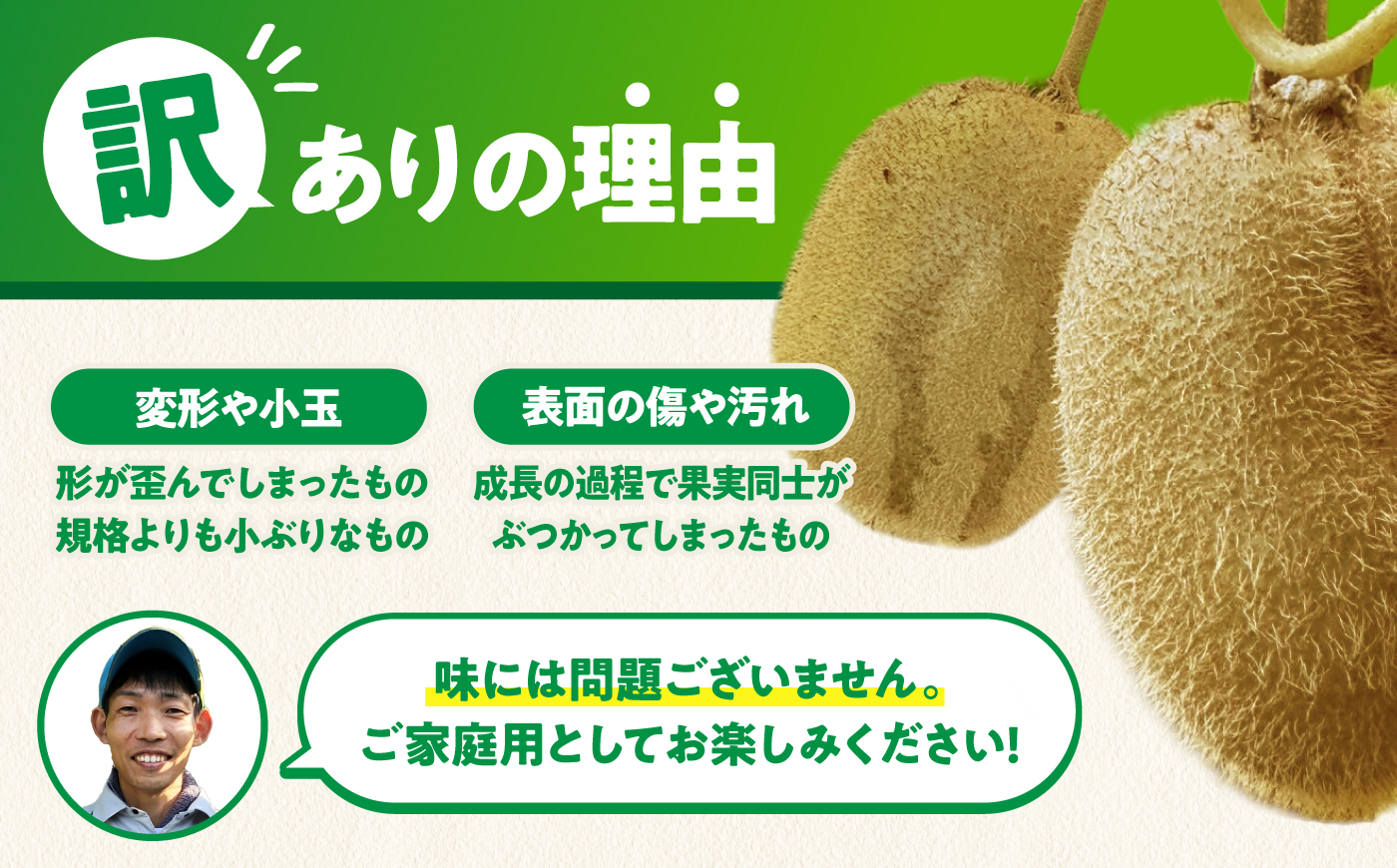 【先行予約】【2026年11月中旬から順次発送】【訳あり】栄養たっぷり！愛媛のグリーンキウイ 2kg （約15玉から20玉） グリーンキウイ キウイ キウイフルーツ フルーツ ヘイワード 果物 くだも