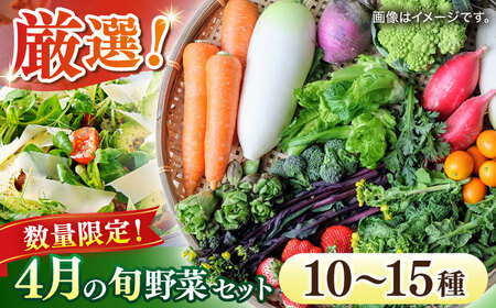 【数量限定】厳選！旬を味わう高槻おまかせ野菜詰め合わせセット 4月（10種～15種）　大阪府高槻市/高槻あぐり[AOCS010] [AOCS010]