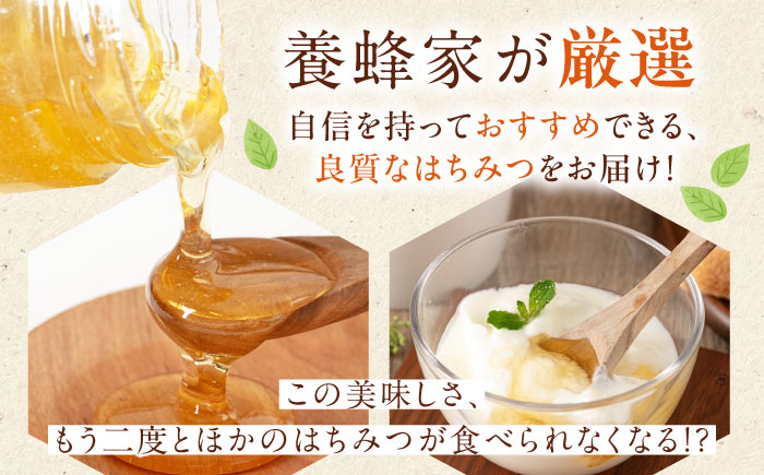 はちみつ あかしあ蜜 500g×2本 はちみつ 蜂蜜 ハチミツ 国産はちみつ ハニー