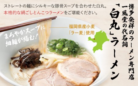 ラー麦使用「一風堂」とんこつラーメン 白丸(8食)【ホットもやしソース付き】