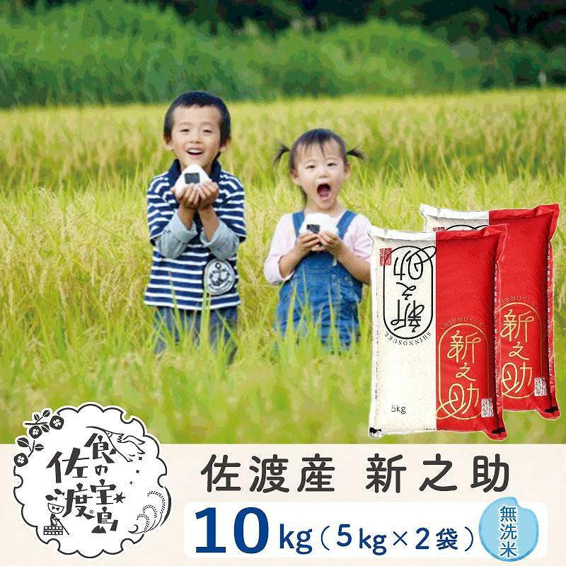 佐渡島産 新之助 無洗米10kg（5kg×2袋）令和7年産195962-1024