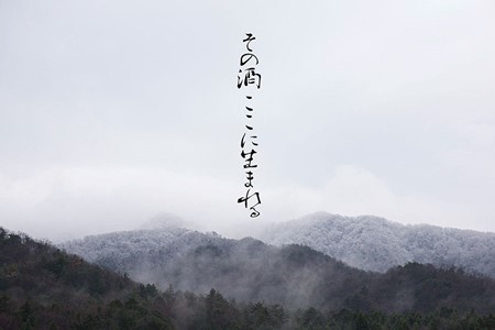 [F020] 地酒遊穂　純米吟醸酒２酒類　２本セット