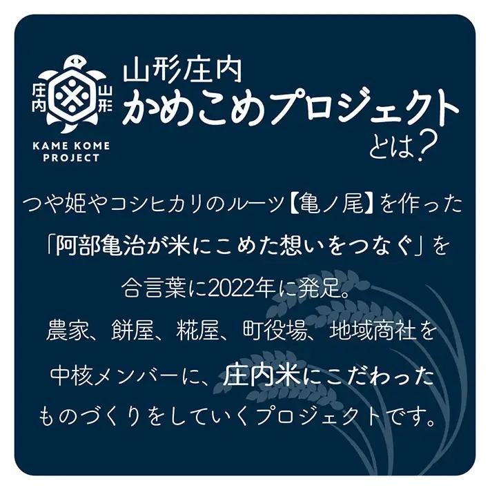 山形庄内かめこめプロジェクト 冷凍つや姫だんご 6本（個包装）
