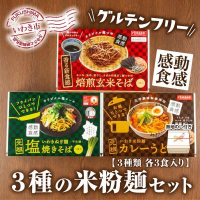ふるさと納税 いわき市 無地熨斗【グルテンフリー】3種の米粉麺セット(米粉麺カレーうどん・ねぎ麺塩焼きそば・焙煎玄米そば)