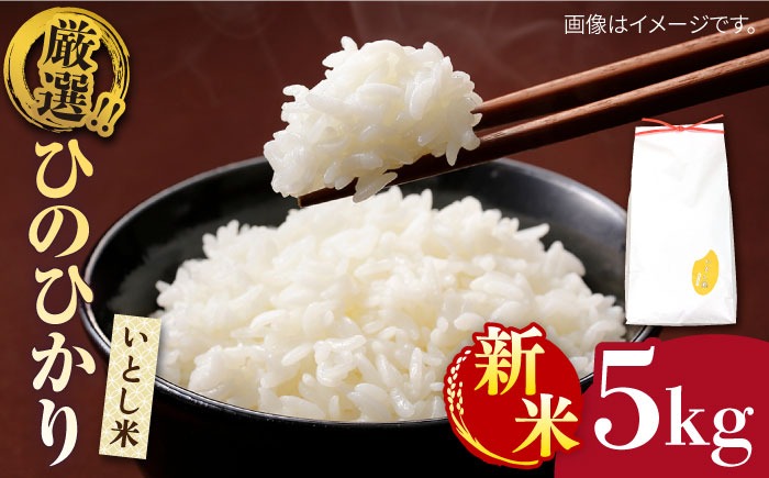 【令和7年産新米】 いとし米 厳選ひのひかり 5kg (糸島産) 【2025年11月以降順次発送】糸島市 / 三島商店 [AIM019] 米 お米 ご飯 白米 ひのひかり ひのひかり 九州 福岡