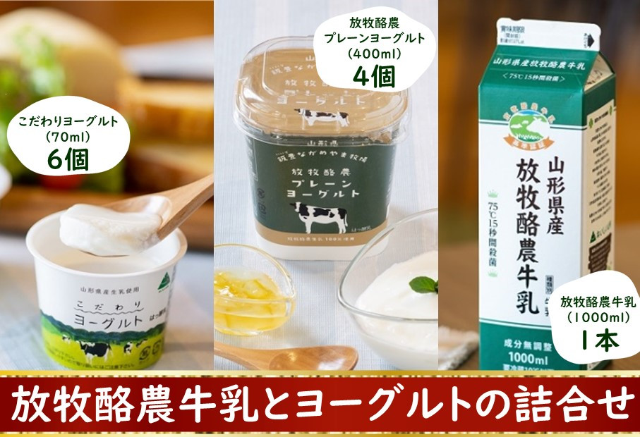 
            放牧酪農牛乳とヨーグルトの詰め合わせ
          