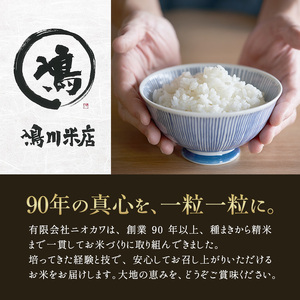 【定期2ヶ月】コシヒカリ　白米　5kg　令和7年産 お米 銘柄米 ご飯 おにぎり お弁当 和食 食卓 精米 国産 千葉県産 産地直送 