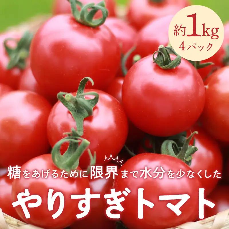 【トマト】高糖度やりすぎトマト 1kg（2026年12月上旬～発送）