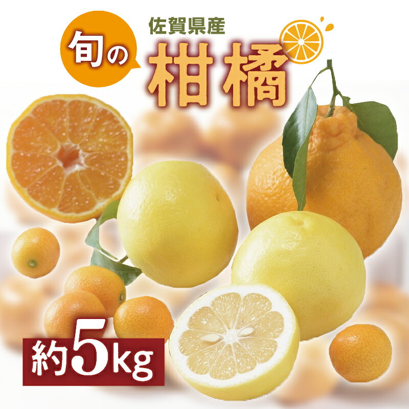 【ふるさと納税】佐賀の旬の柑橘をお届け 佐賀産かんきつ5kg 147-B397