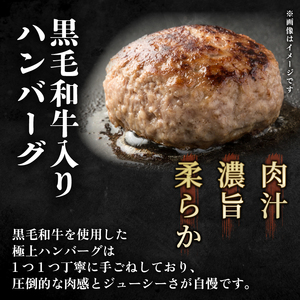 訳あり ハンバーグ 12個 冷凍 訳あり ハンバーグ MEP
