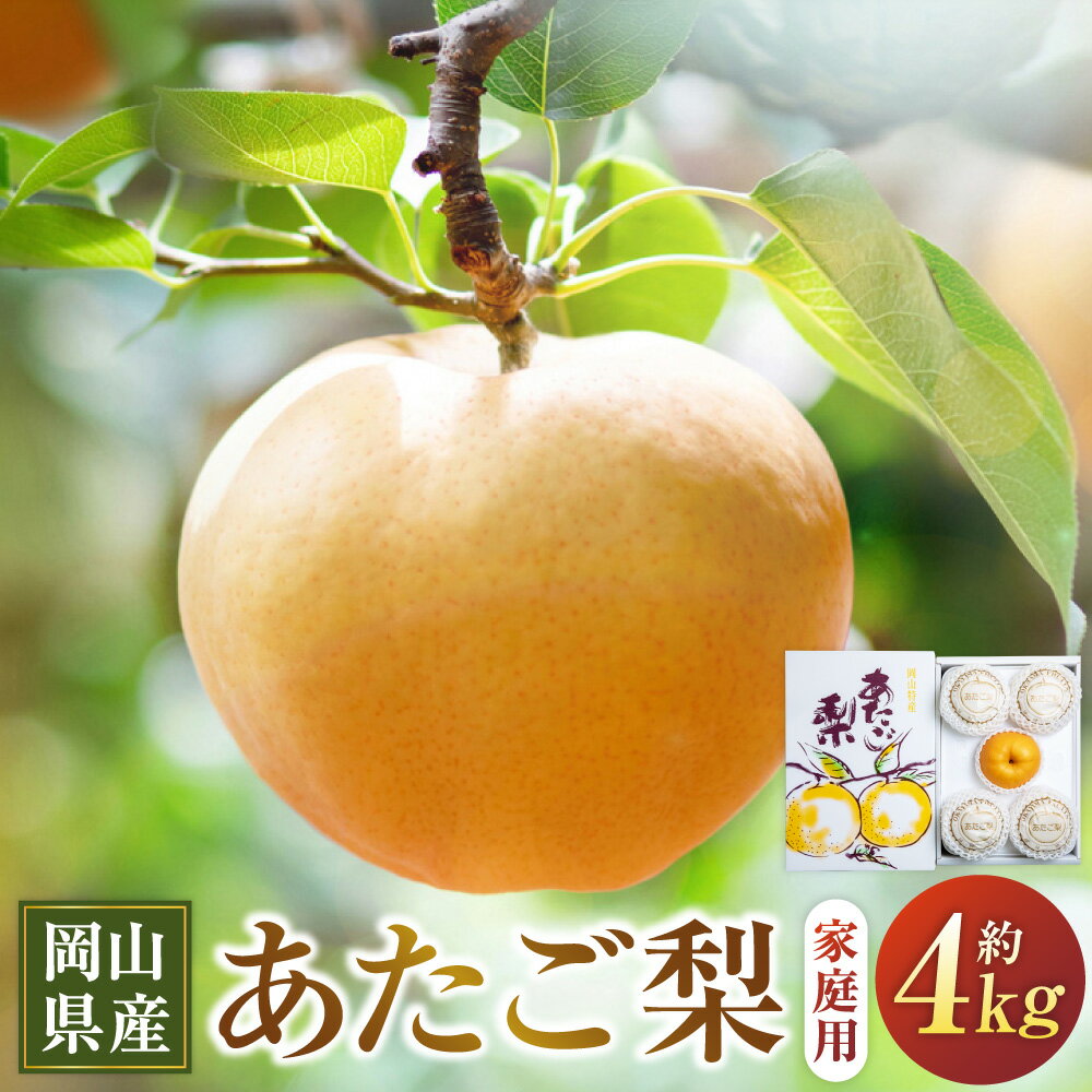 【ふるさと納税】あたご梨 約4kg 3～9玉 家庭用 愛宕梨 なし ナシ フルーツ くだもの 果物 果実 岡山県産 岡山県 美咲町 送料無料 【2025年11月下旬～12月下旬発送予定】