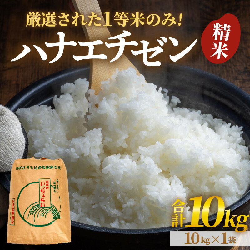 【ふるさと納税】【先行予約】米 10kg 令和7年産 【一等米】 ハナエチゼン 精米 10kg ×1袋《発送直前精米！》 / 10キロ 福井県 あわら 北陸 米 こめ コメ kome お米 人気 大賞 受賞 新米 令和7年【2025年9月上旬より順次発送予定】