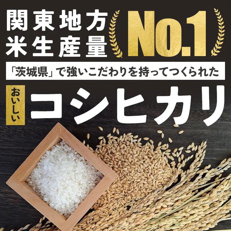 令和8年度 笠間産コシヒカリ 無洗米 真空パック 2合×10袋 新米 白米 米 茨城県 CU-006