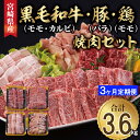 【ふるさと納税】3回 定期便 宮崎県産 焼肉 セット 黒毛和牛 モモ カルビ 豚バラ 若鶏 モモ 合計3.6kg 各300g [サンアグリフーズ 宮崎県 美郷町 31ba0036] 小分け 冷凍 送料無料 国産 BBQ バーベキュー キャンプ 普段使い 炒め物 丼 カット 詰め合わせ 経産牛