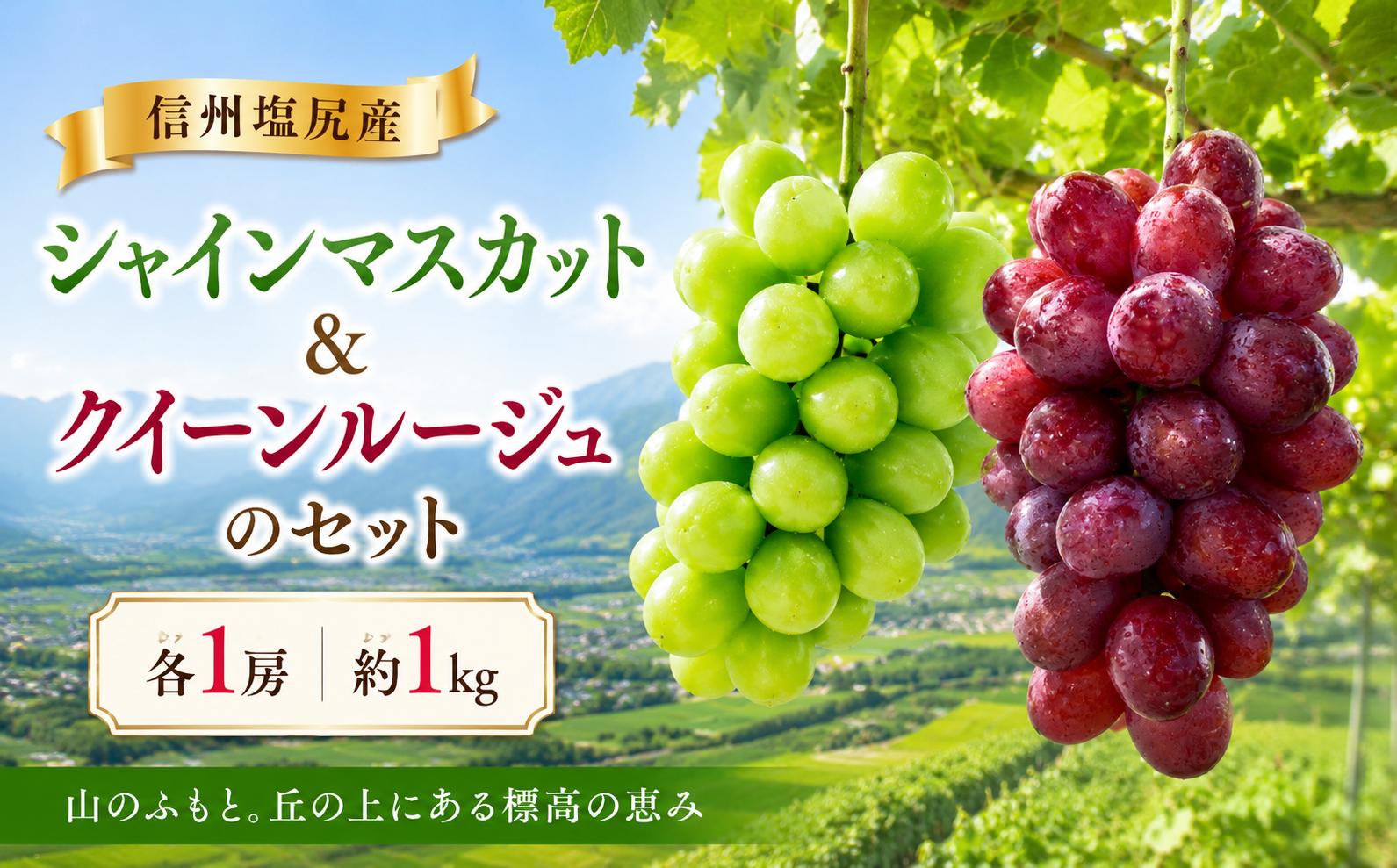 
                  【2026年先行予約】信州塩尻産 シャインマスカット＆クイーンルージュのセット 各1房 約1kg【9月下旬頃～10月下旬にかけて順次発送予定】｜ クイーンルージュ シャインマスカット ぶどう 葡萄 フルーツ 果物 YoshieVineyard 塩尻市 長野県 信州
                