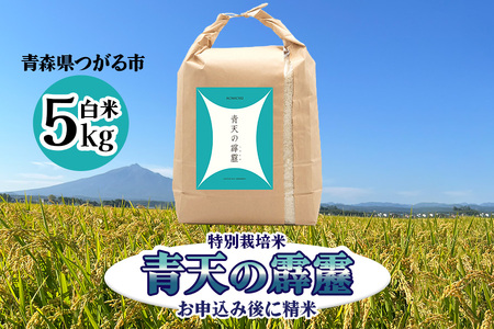 青天の霹靂 (特別栽培米) 白米5kg 令和7年産 青森県産米 [お申込み後に精米]｜2025年産 つがる市 お米 米 こめ コメ へきれき 白米 精米 特栽米 ブランド米 [0898]