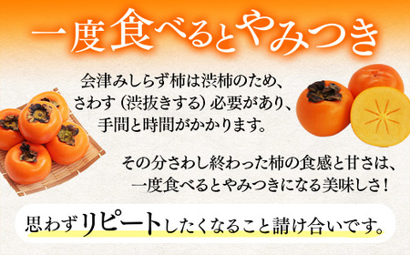 【予約開始】柿 会津みしらず柿 Lサイズ 18個入り 約3kg フルーツ 果物 ギフト 渋柿 会津 伊藤果樹園 ※2025年11月頃より順次発送予定 23-E