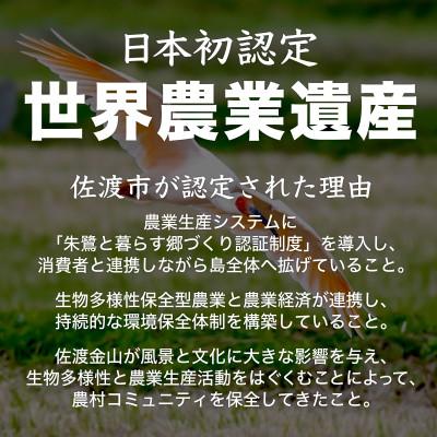 ふるさと納税 佐渡市 棚田米 佐渡こしひかり 佐渡市歌見地区　精米　5kg |  | 02