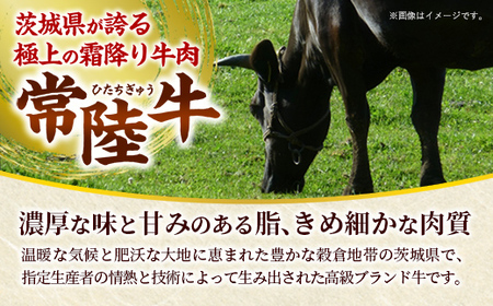 [木箱入り] 焼肉ヒロミヤ厳選！茨城県産 常陸牛焼肉セット（茨城県共通返礼品）／ ランプ イチボ ヒレ 計400g ３種 盛り合わせ タレつき にんにく塩付き ブランド牛 フィレ ヘレ 高品質 贈り物