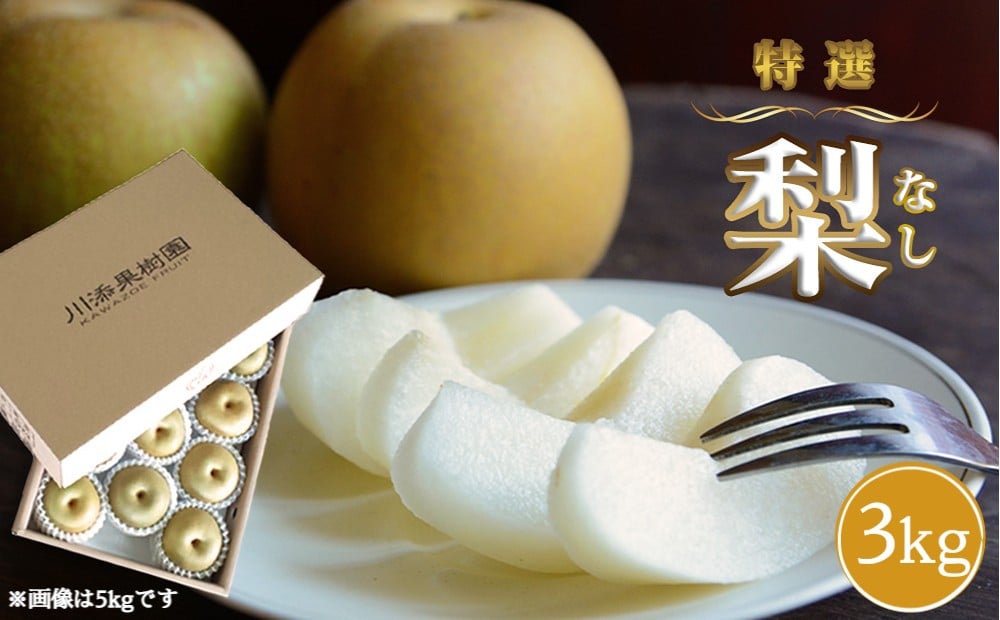 
            【旬の時期にお届け】川添果樹園の特選梨 約3kg ナシ 果物 フルーツ 和梨 幸水 豊水 南水 秋月 あきづき 新高 国産
          