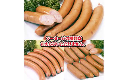 国産 豚肉 アイスバイン 500g ソーセージ 1パック おまかせセット