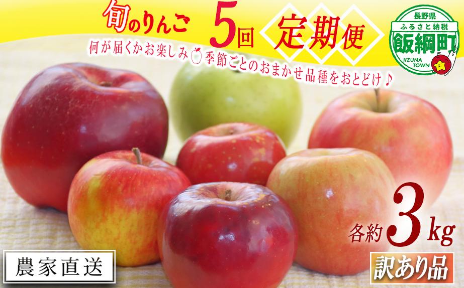 
            【 定期便 】 旬のりんご 品種おまかせ 訳あり 3kg × 5回 ファームたんぽぽ 沖縄県への配送不可 2025年8月中旬頃から2025年12月下旬頃まで順次発送予定 令和7年度収穫分 信州 果物 フルーツ リンゴ 林檎 8月 9月 10月 11月 12月 長野 予約 農家直送 長野県 飯綱町 [1956]
          