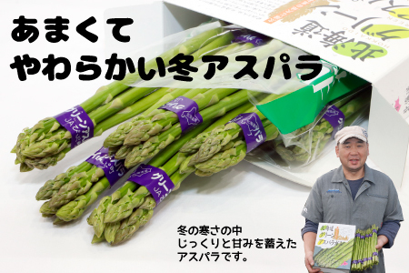 【12月下旬より発送】冬グリーンアスパラ M～Lサイズ 1kg（100g 10束）【菅原クリーンファーム】伏せ込み栽培 朝採り 野菜 新鮮 緑黄色野菜 国産 北海道産 産地直送 北海道 比布町 ぴっぷ