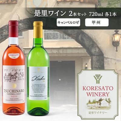 ふるさと納税 赤磐市 是里 ワイン 果実酒 キャンベルロゼ 甲州 720ml 各1本[NO5765-1255]