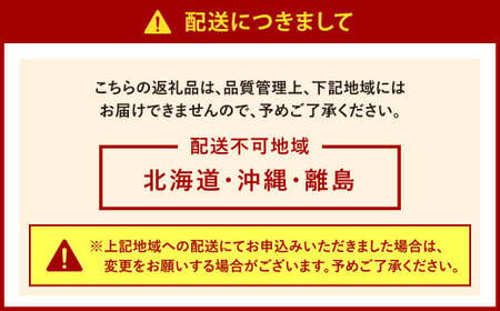 福岡県北九州市若松産【優等品】若松クイーン スイカ 10kg以上(2kg以上3玉入り～4玉入り)【2025年7月下旬～8月上旬発送予定】