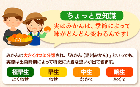 みかん ご家庭用みかん約5kg