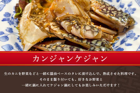 カンジャンケジャン カニ キムチ 韓国料理 AF-001
