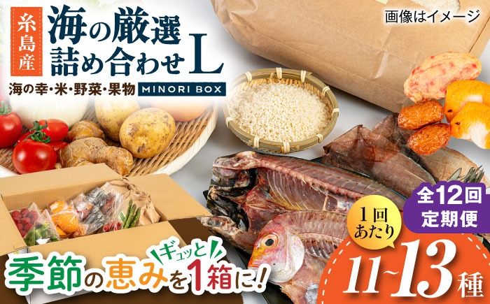 【全12回定期便】糸島産 魚 米 野菜 果物 厳選詰め合わせ MINORI BOX Lサイズ 糸島市 / emma.Inc / 米 魚 野菜 果物 詰め合わせ[AOP030]
