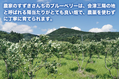 【予約】冷凍ブルーベリー 1kg 直径13mm以上　※7月下旬発送予定