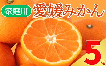 訳あり 愛媛みかん 5kg サイズミックス ご家庭用 産地直送 農家直送 温州みかん 早生 中生 時期で変わる旬の味 甘い 濃厚 フルーツ コク ジューシー 温州みかん うんしゅうみかん 早生 ビタミン ビタミンC 薄皮 柑橘 果物 冬の味覚 こたつ みかん 人気 おすすめ 大容量 愛媛県 愛南町 愛なんよ