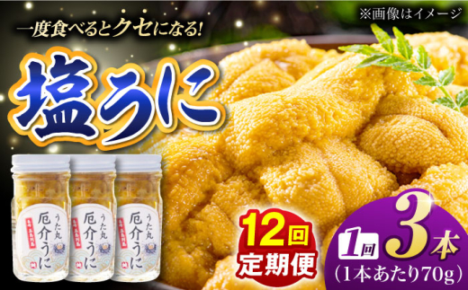【全12回定期便】厄介うに ガンガゼの塩うに 70g×3本 / ウニ 雲丹 五島市 / うた丸 [PGA005]