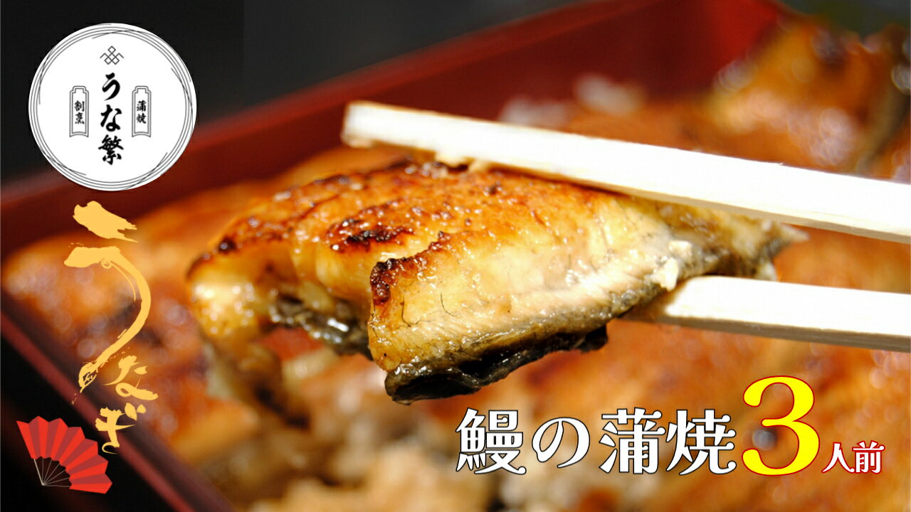 【ふるさと納税】うなぎ真空パック3人前 うな繁 蒲焼 鰻 ウナギ 小分け 送料無料 丑の日 土用 贈り物 お取り寄せ たれ付き