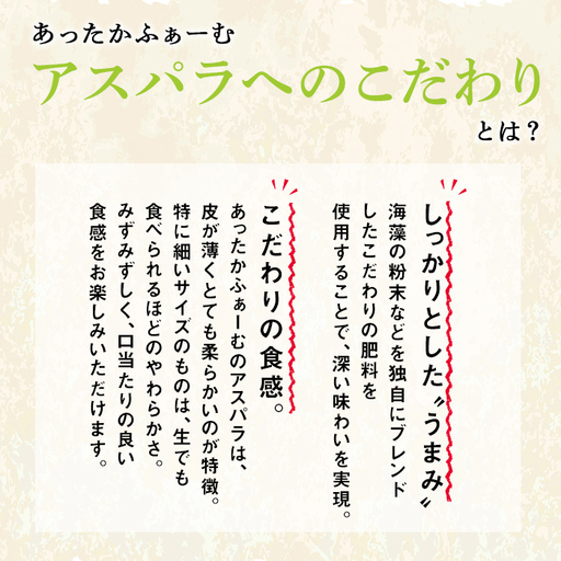 【A7082】＜特別栽培・期間限定＞北海道士別市産 アスパラ食べ比べ！グリーン＆パープル2色セット (M～2Lサイズ混合・500g) 【2026年5月以降順次発送】野菜 アスパラガス グリーンアスパラ