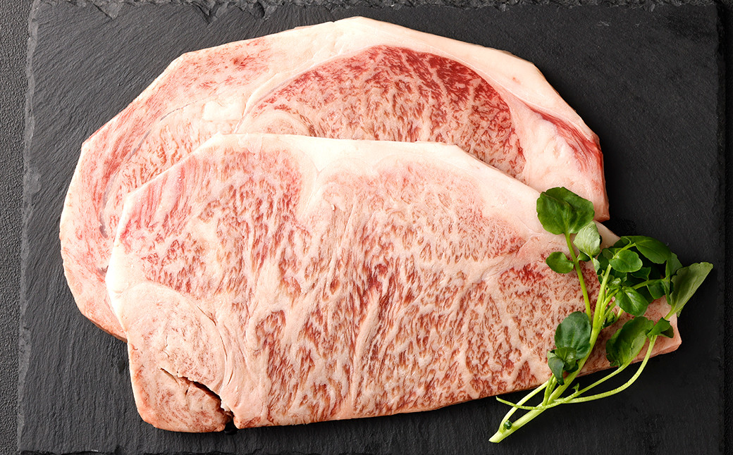 
            黒樺牛 【2回 定期便】 ロース ステーキ 400g 200g×2パック 計800g 牛肉 ステーキ 和牛 牛 お肉 黒毛和牛 国産 九州産 熊本県産 冷凍
          