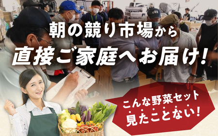 【定期便】 旬の野菜 フルーツ 詰め合わせ ～ 12品 野菜ソムリエ 厳選 野菜セット | メロン いちご トマト アスパラガス トウモロコシ 玉ねぎ 国産 人気 ランキング やさい 野菜 果物 フル