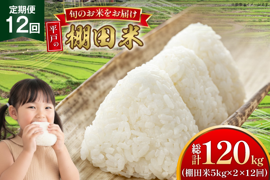 米 令和7年 棚田米 5kg 2袋 計 10kg 12回 定期便  総計120kg [ひらど新鮮市場 長崎県 平戸市 hr42bgy400177] 令和7年産 コメ こめ ごはん ご飯 こしひかり ひのひかり にこまる
