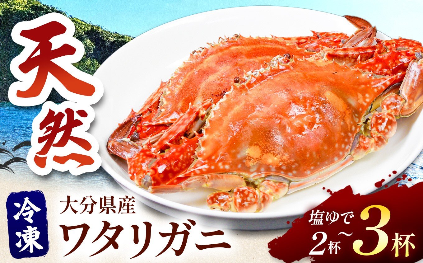 
            【期間・数量限定】小祝漁港特産 天然ワタリガニ 雌 卵なし 塩ゆで 冷凍 2～3杯 活き締 | 魚介 海鮮 甲殻類 蟹 かに カニ 大分県 中津市
          